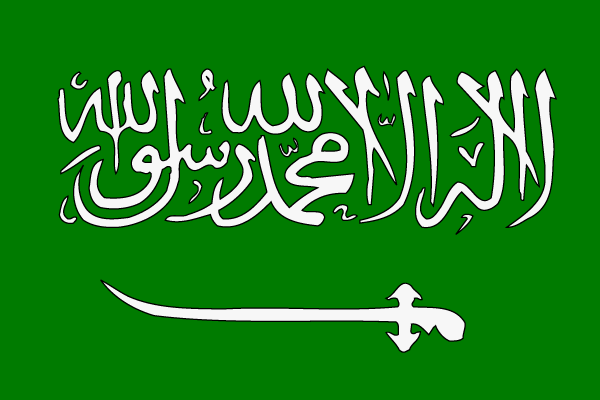 الوجيز في نظام التجنيس المملكة العربية السعودية..